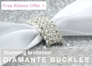 Free roll of satin ribbon with every 50 diamante buckles purchased!