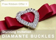 Free roll of satin ribbon with every 50 diamante buckles purchased!