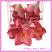 A close up view of our Artificial Flower Heads Latex Frangipani Dusty Pink Large - Box of 24