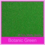 Curious Metallics Botanic Green 120gsm - 160x160mm Square Envelopes
