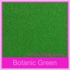 Bomboniere Box - 5cm Cube - Curious Metallics Botanic Green