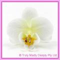 Artificial Flower Heads Silk Phalaenopsis Orchid White with Cream 5cm - Box of 24