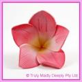 Artificial Flower Heads Latex Frangipani Dusty Pink Large - Box of 12
