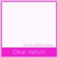 Curious Translucent Clear Vellum - DL Envelopes