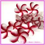 Artificial Flower Heads Latex Frangipani White with Pink 6.5cm - Box of 24