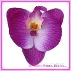 Artificial Flower Heads Silk Phalaenopsis Orchid Purple 5.5cm - 24Pck
