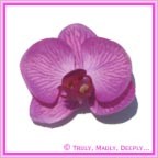 Artificial Flower Heads Silk Phalaenopsis Orchid Lavender Purple 5cm - Box of 24
