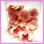 Artificial Flower Heads Silk Phalaenopsis Orchid Light Pink 5cm - Box of 24