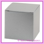 Bomboniere Box - 5cm Cube - Crystal Perle Steele Silver (Metallic)