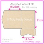 A5 Pocket Fold - Curious Metallics Nude